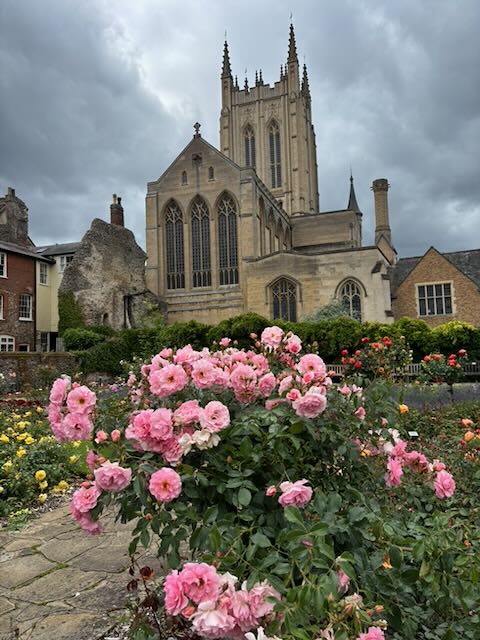 CAM Region report - visit to Bury St Edmunds Abbey Grounds 17 June